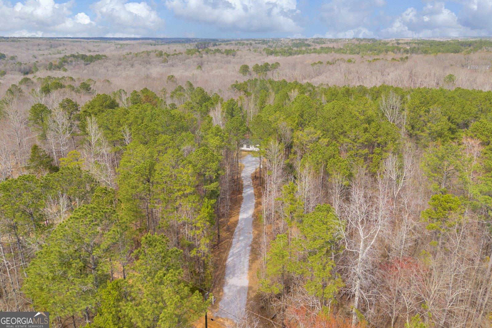 60 Tribble Bottoms Road Arnoldsville - Photo 60