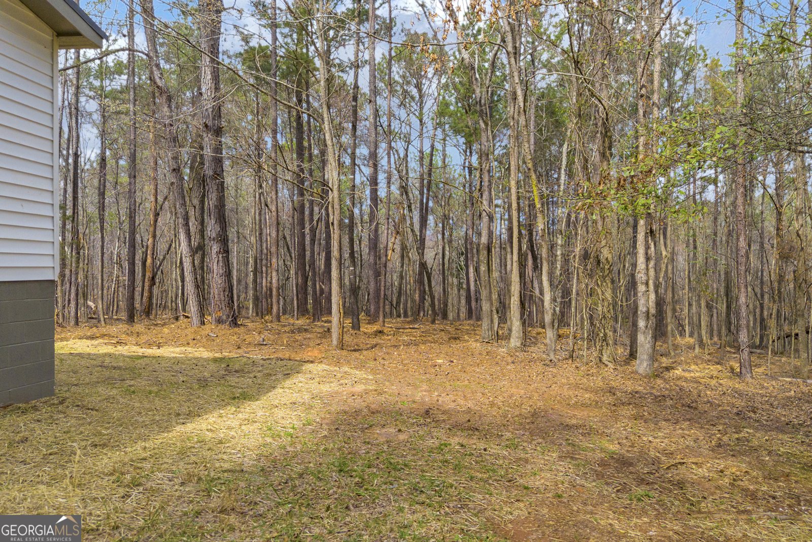 60 Tribble Bottoms Road Arnoldsville - Photo 61