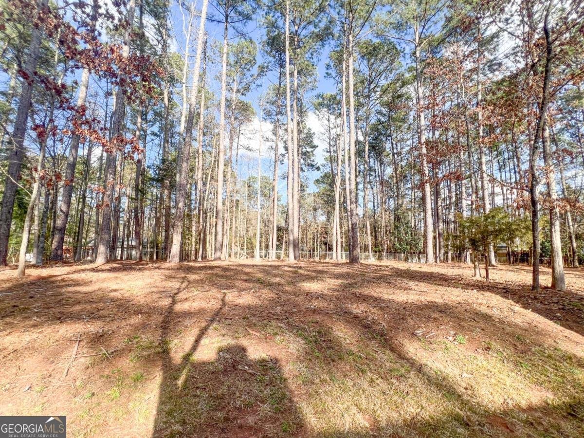 127 McCrackin Court Athens - Photo 14