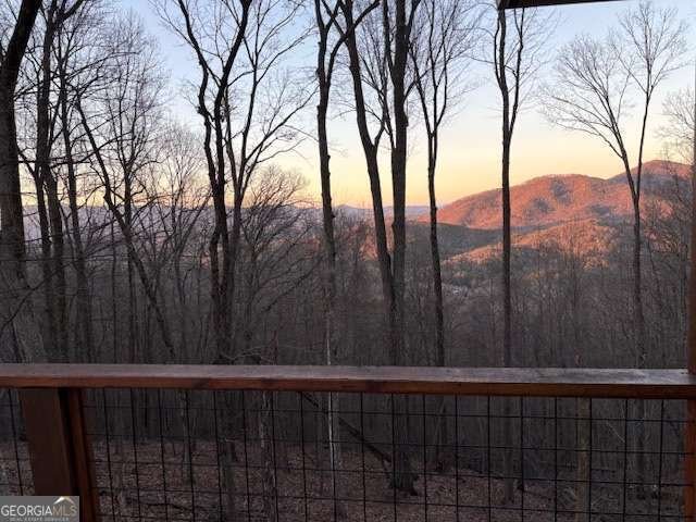 217 Walnut Ridge Ellijay - Photo 58