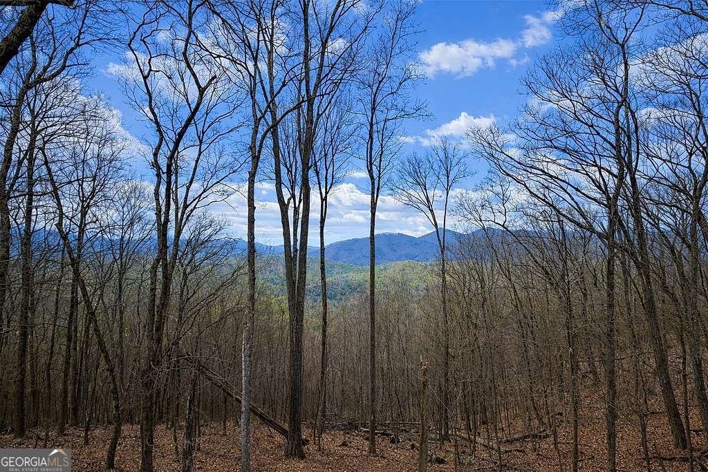 217 Walnut Ridge Ellijay - Photo 6