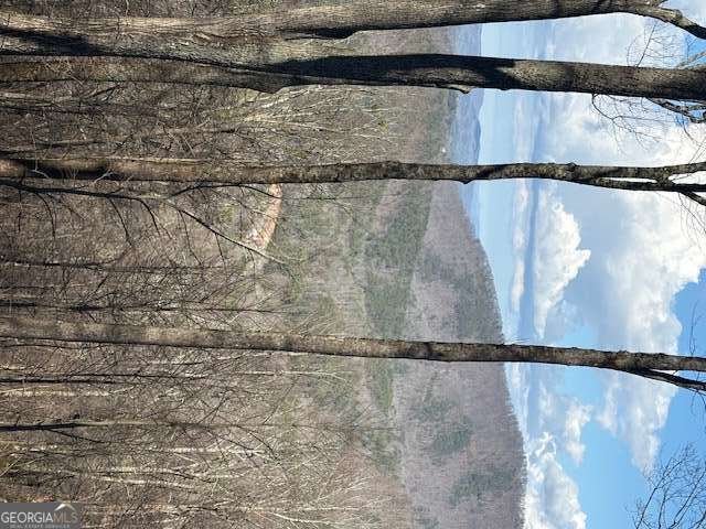 217 Walnut Ridge Ellijay - Photo 60