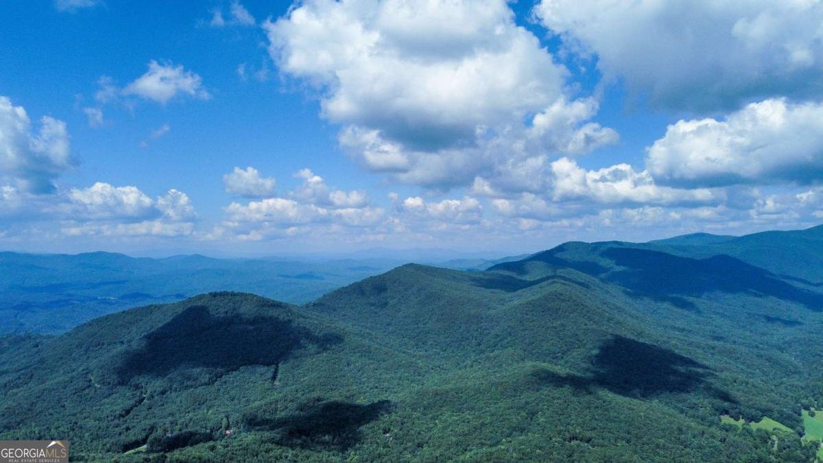 217 Walnut Ridge Ellijay - Photo 61