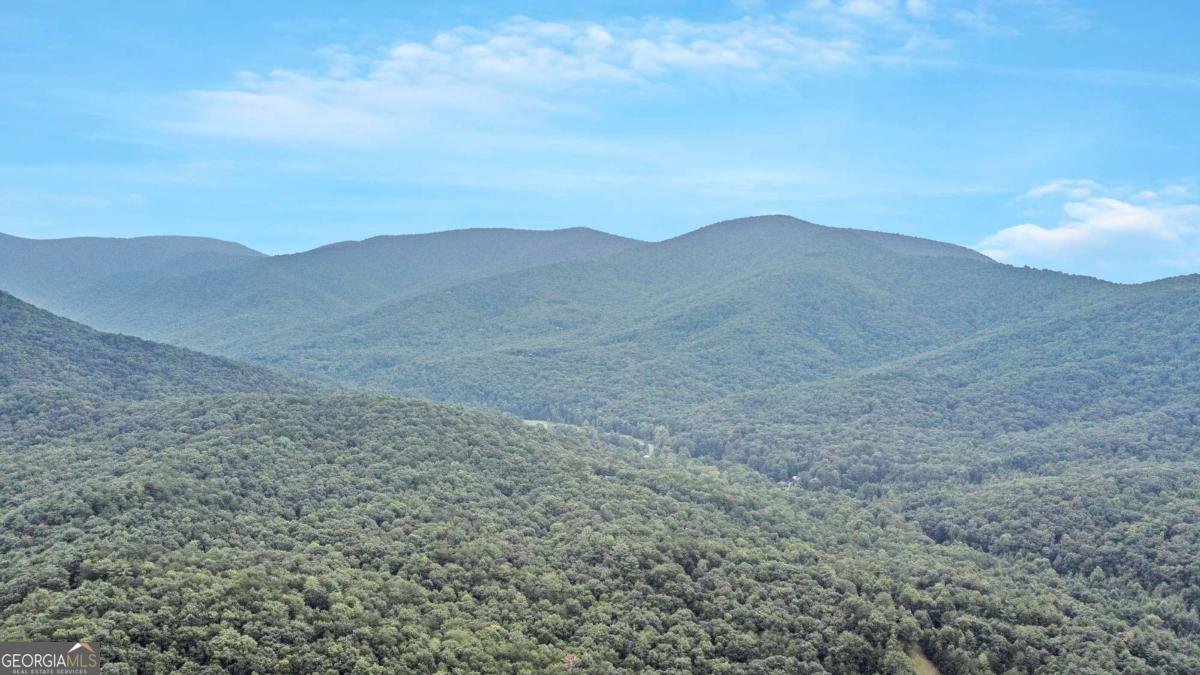 217 Walnut Ridge Ellijay - Photo 65