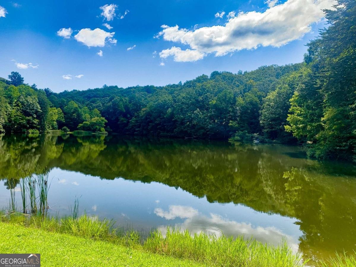 217 Walnut Ridge Ellijay - Photo 70