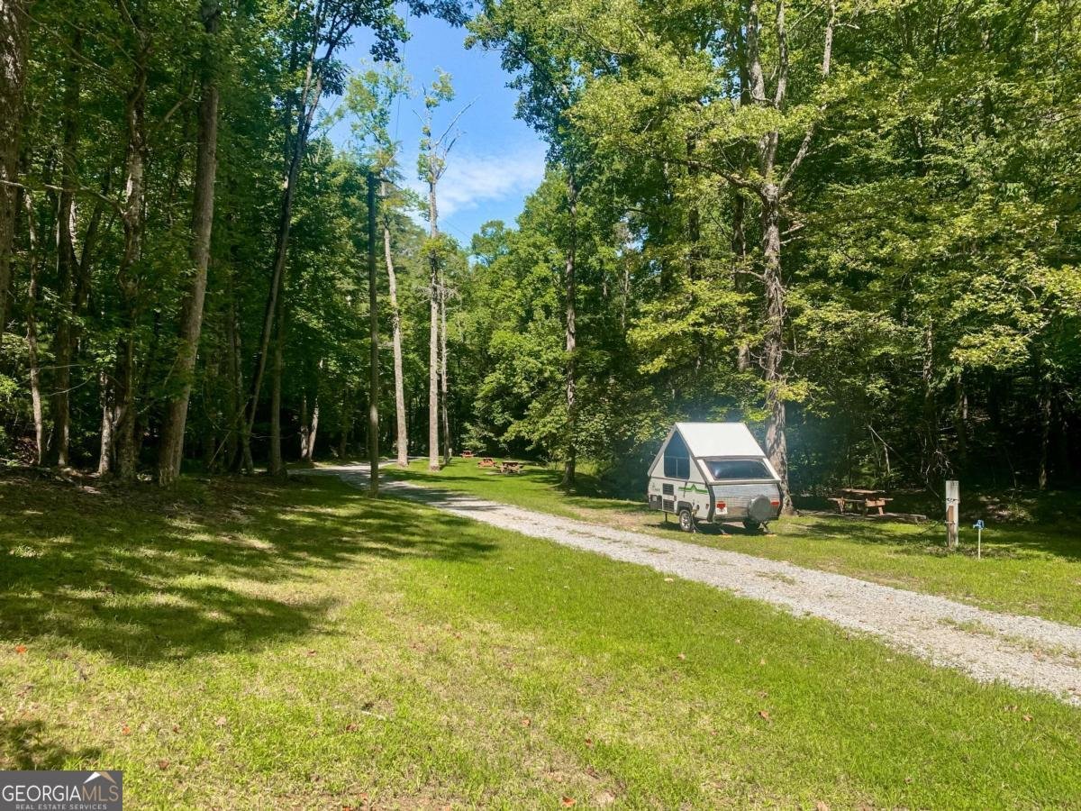 217 Walnut Ridge Ellijay - Photo 71