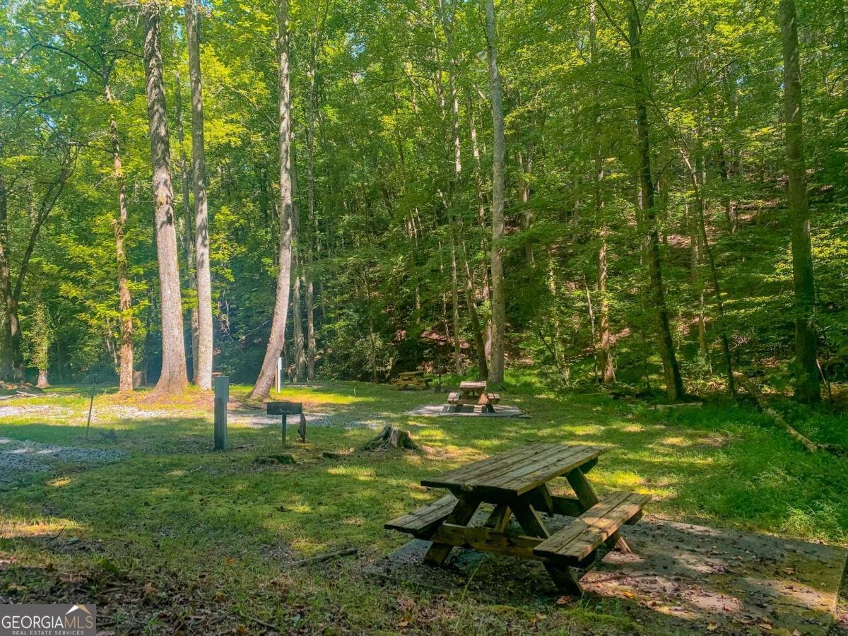 217 Walnut Ridge Ellijay - Photo 73