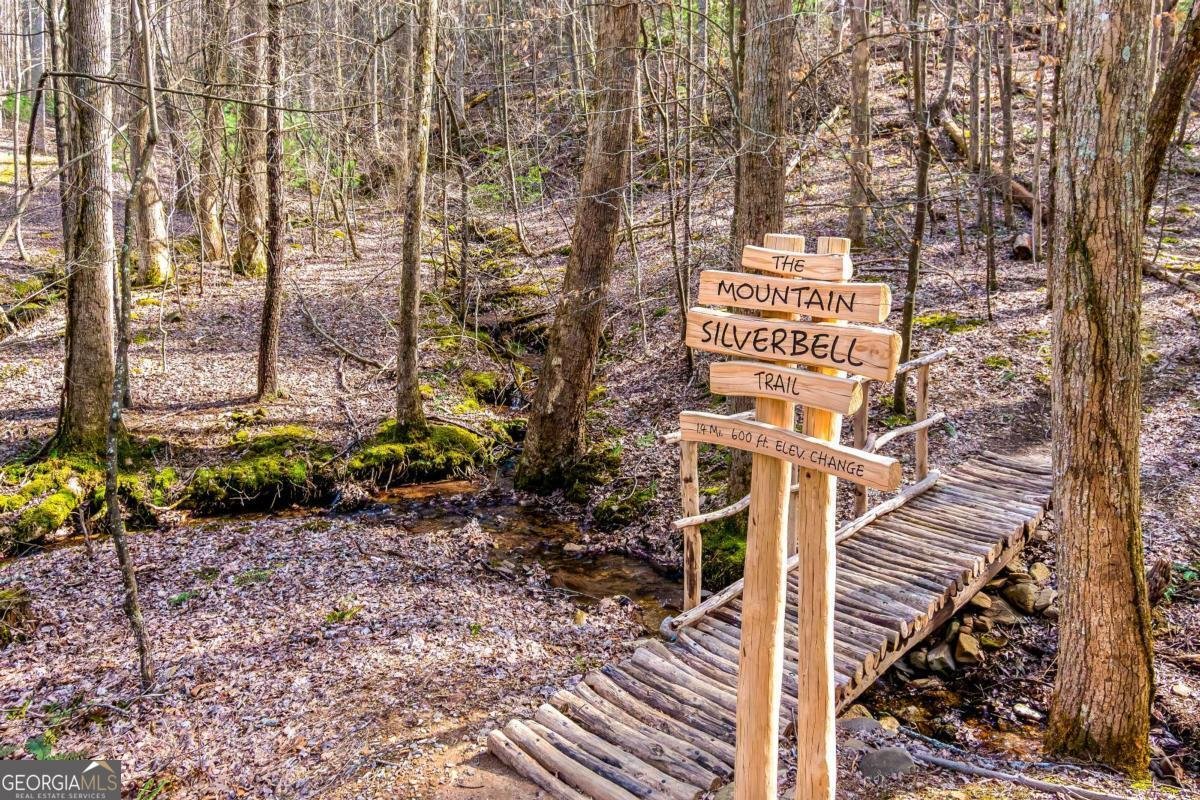 217 Walnut Ridge Ellijay - Photo 81