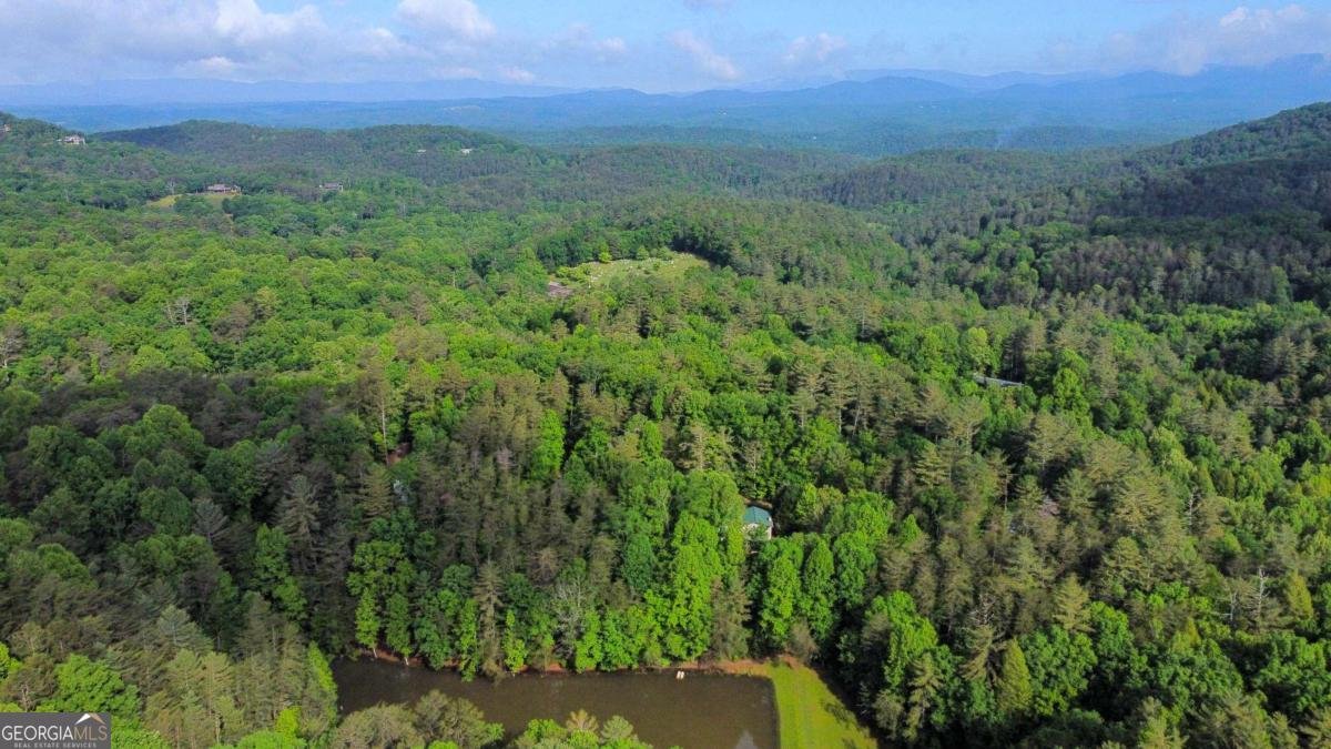 217 Walnut Ridge Ellijay - Photo 84