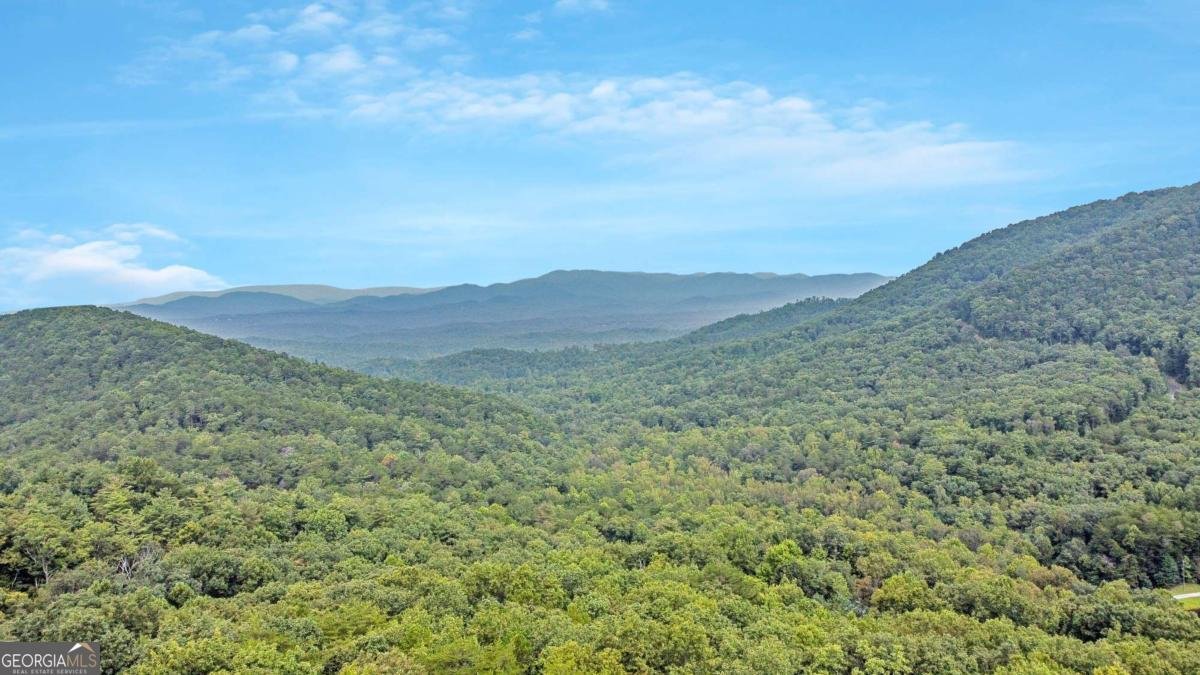 217 Walnut Ridge Ellijay - Photo 85