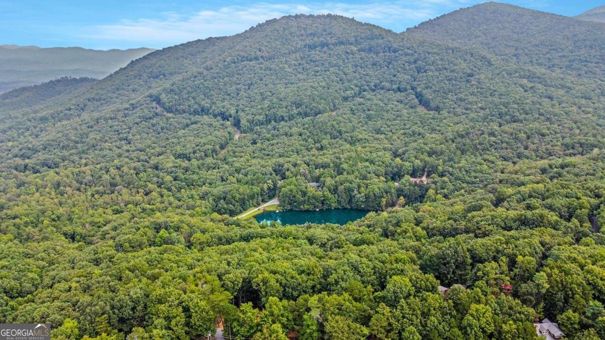 217 Walnut Ridge Ellijay - Photo 86