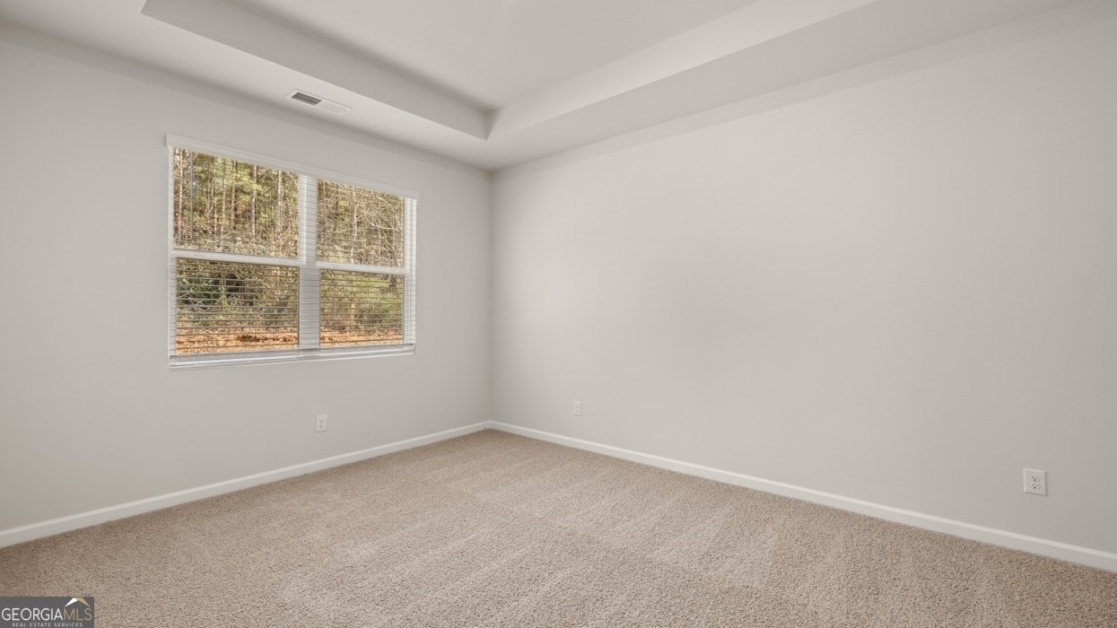 512 Great Salt Lane Hoschton - Photo 29