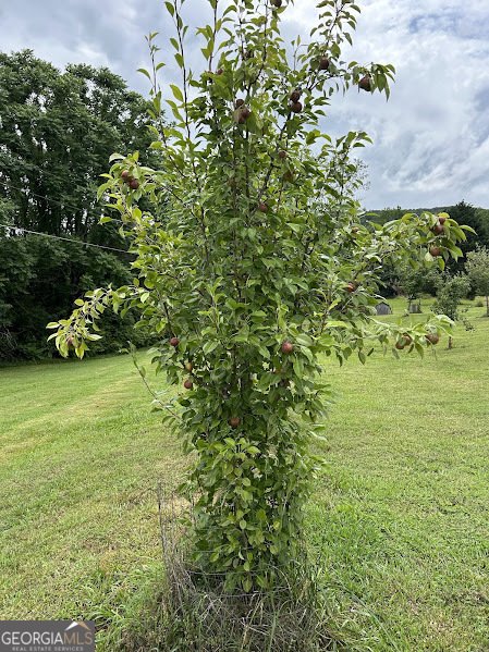 2838 Skitts Mountain Road Cleveland - Photo 26