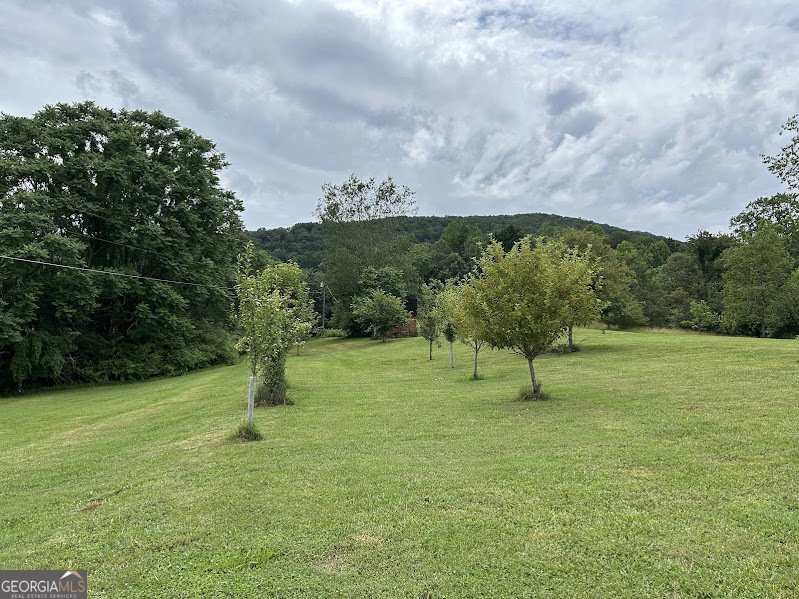 2838 Skitts Mountain Road Cleveland - Photo 27