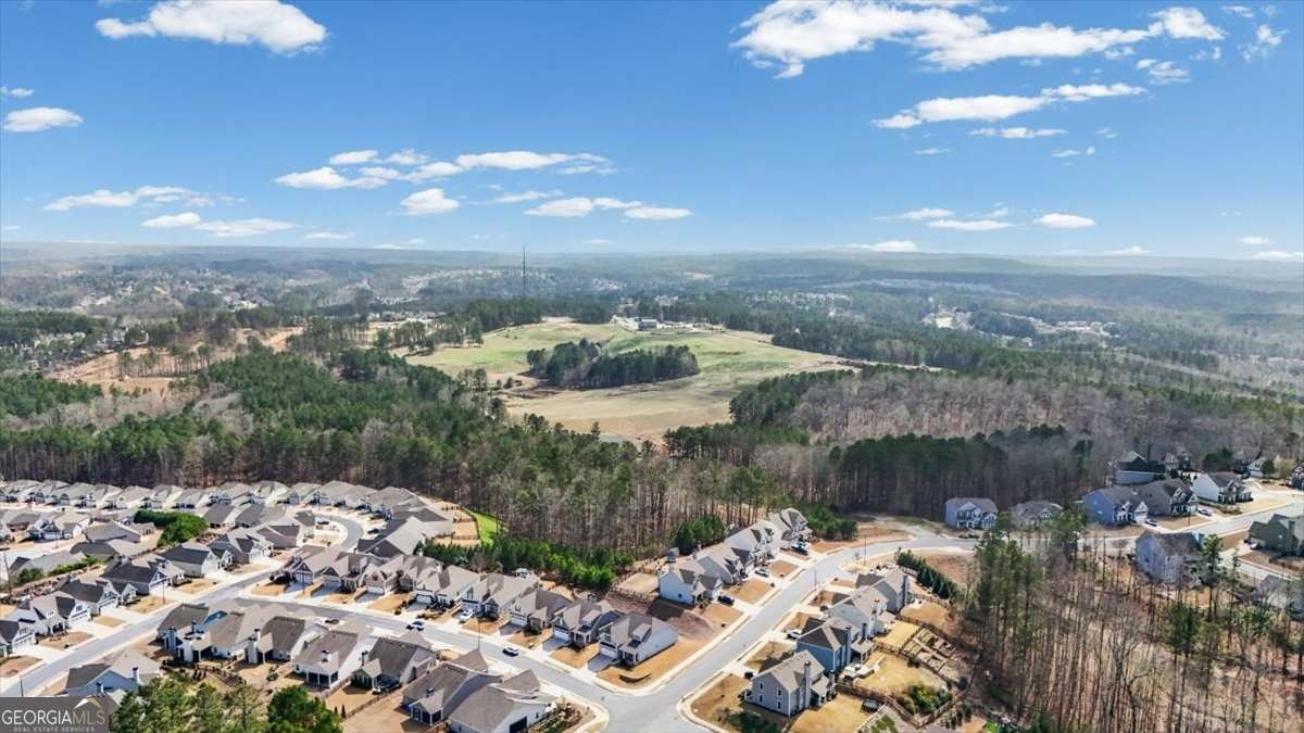 10 Palmetto Run Dallas - Photo 41