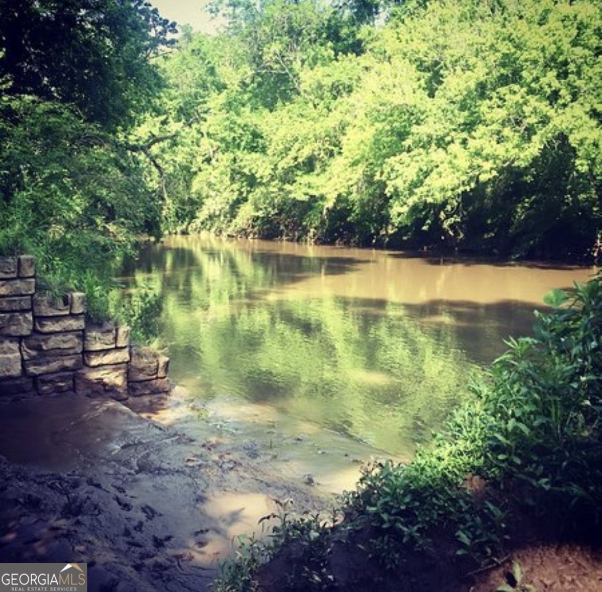 332 Pine Acres Drive Canton - Photo 36