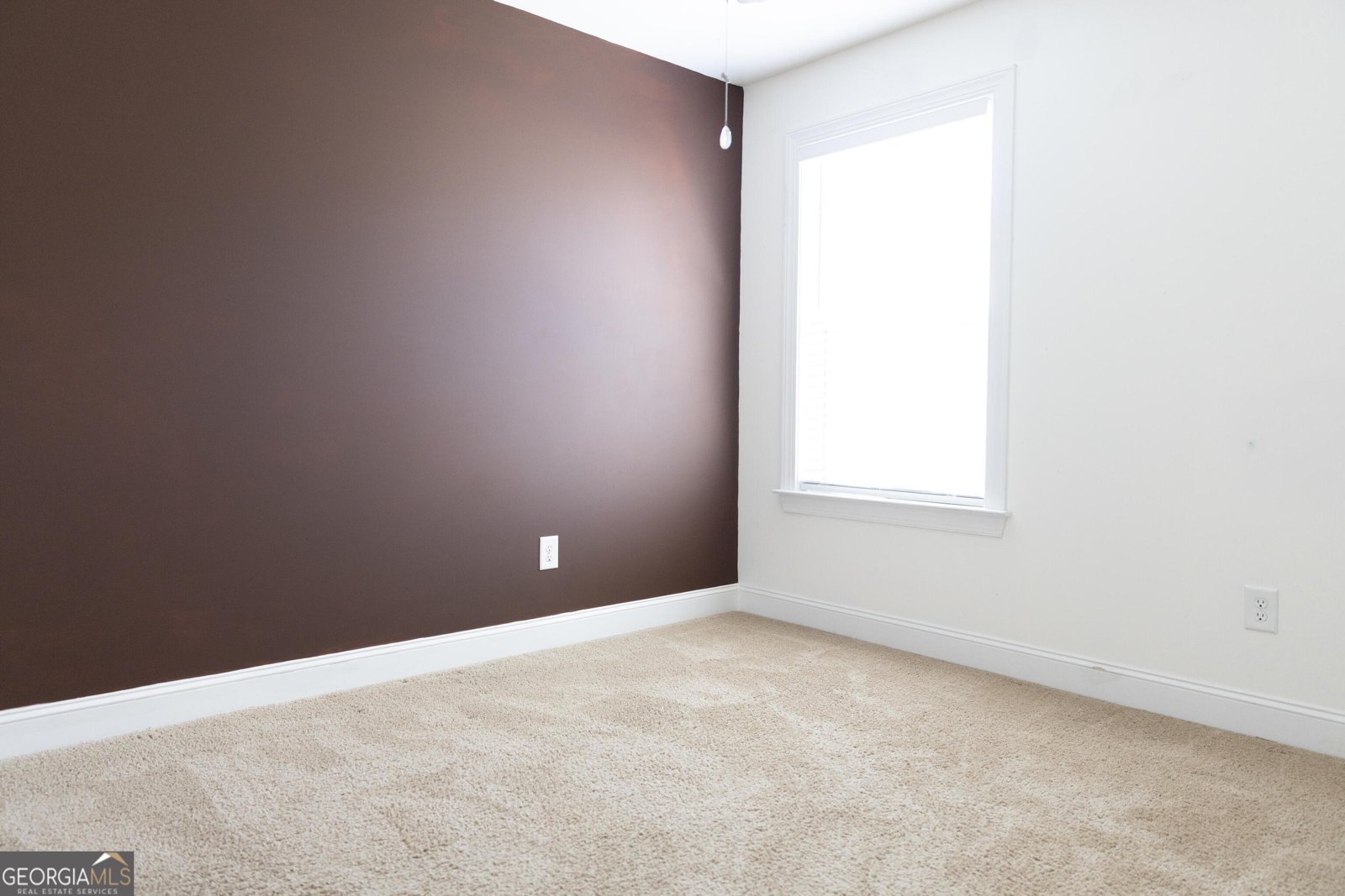 166 Goshen Lane Woodstock - Photo 31