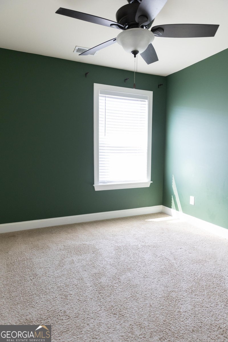 166 Goshen Lane Woodstock - Photo 39