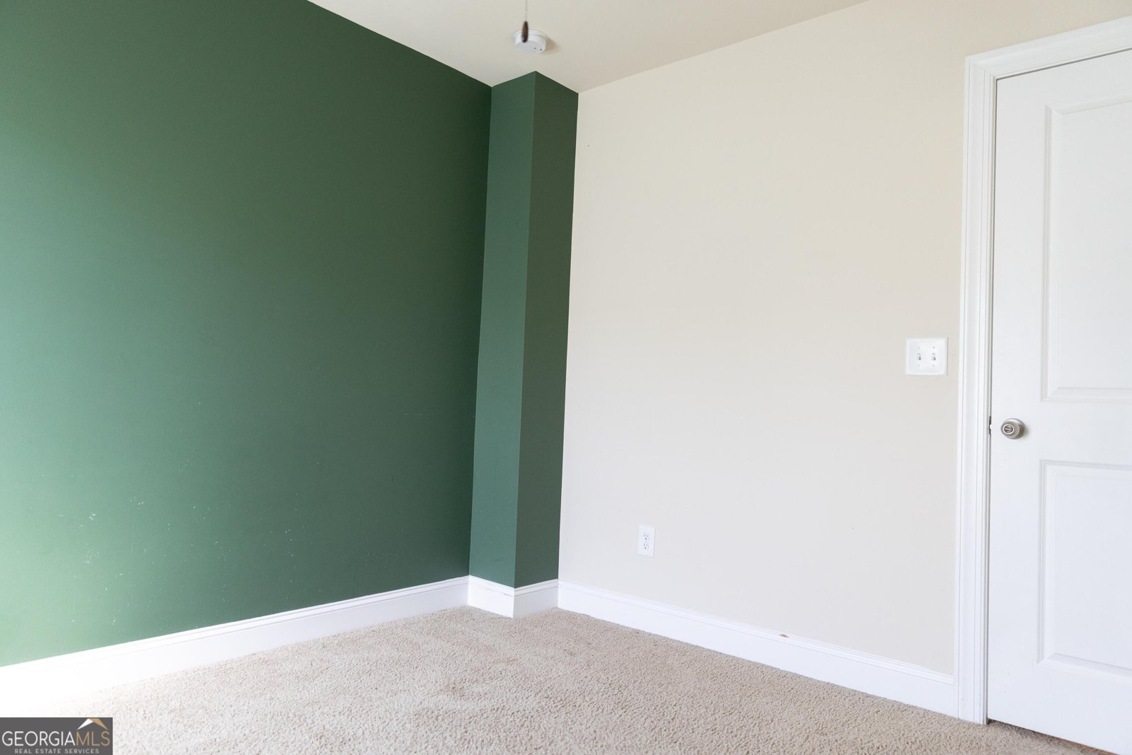 166 Goshen Lane Woodstock - Photo 40