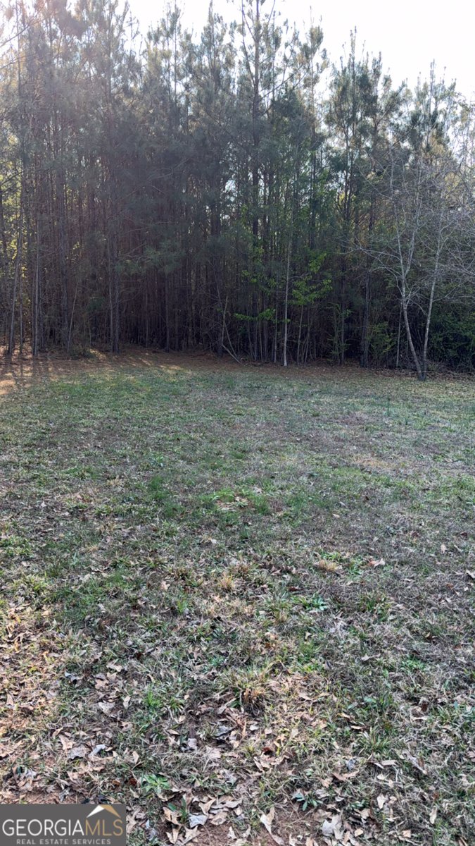 2186 Five Notch Road Franklin - Photo 26