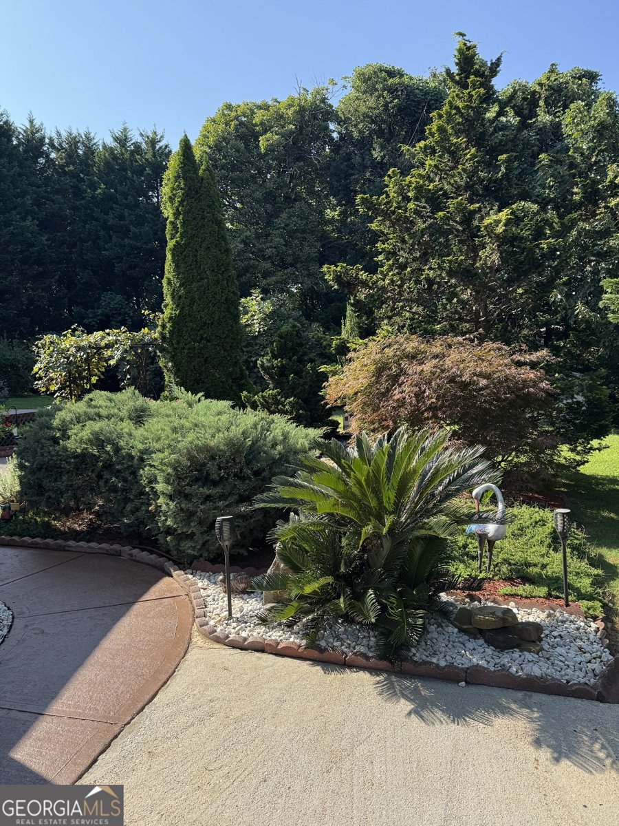 2810 Barimore Place Dacula - Photo 66