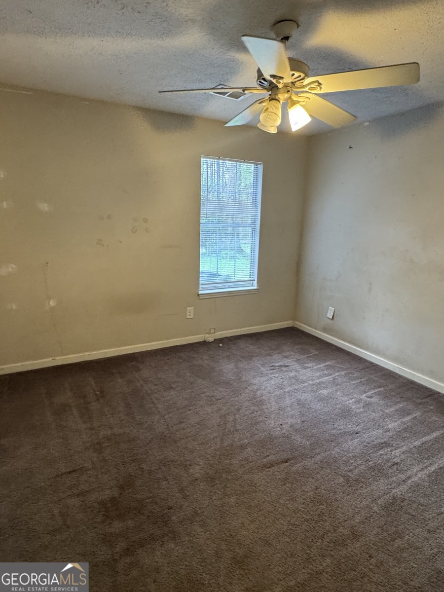 121 Juniper Drive McDonough - Photo 10