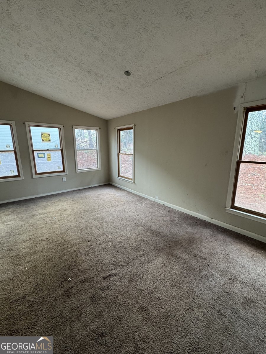 121 Juniper Drive McDonough - Photo 17