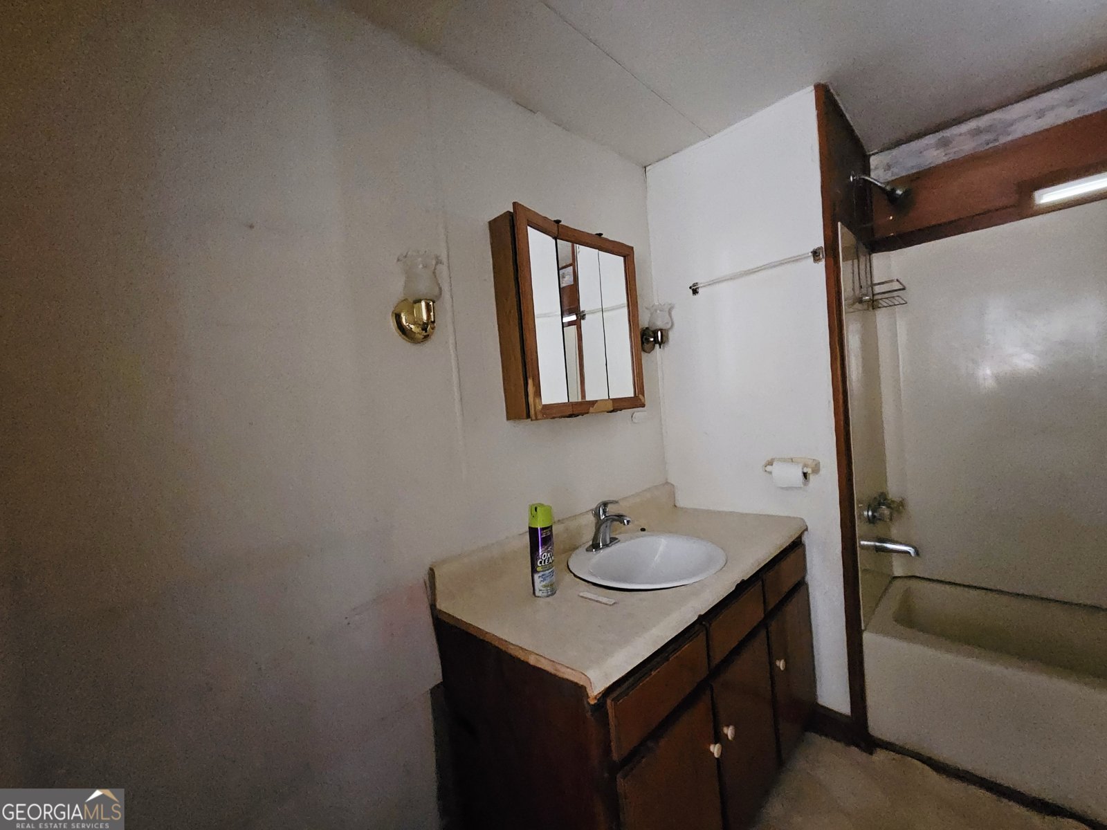 5655 GA Highway 100 Franklin - Photo 12