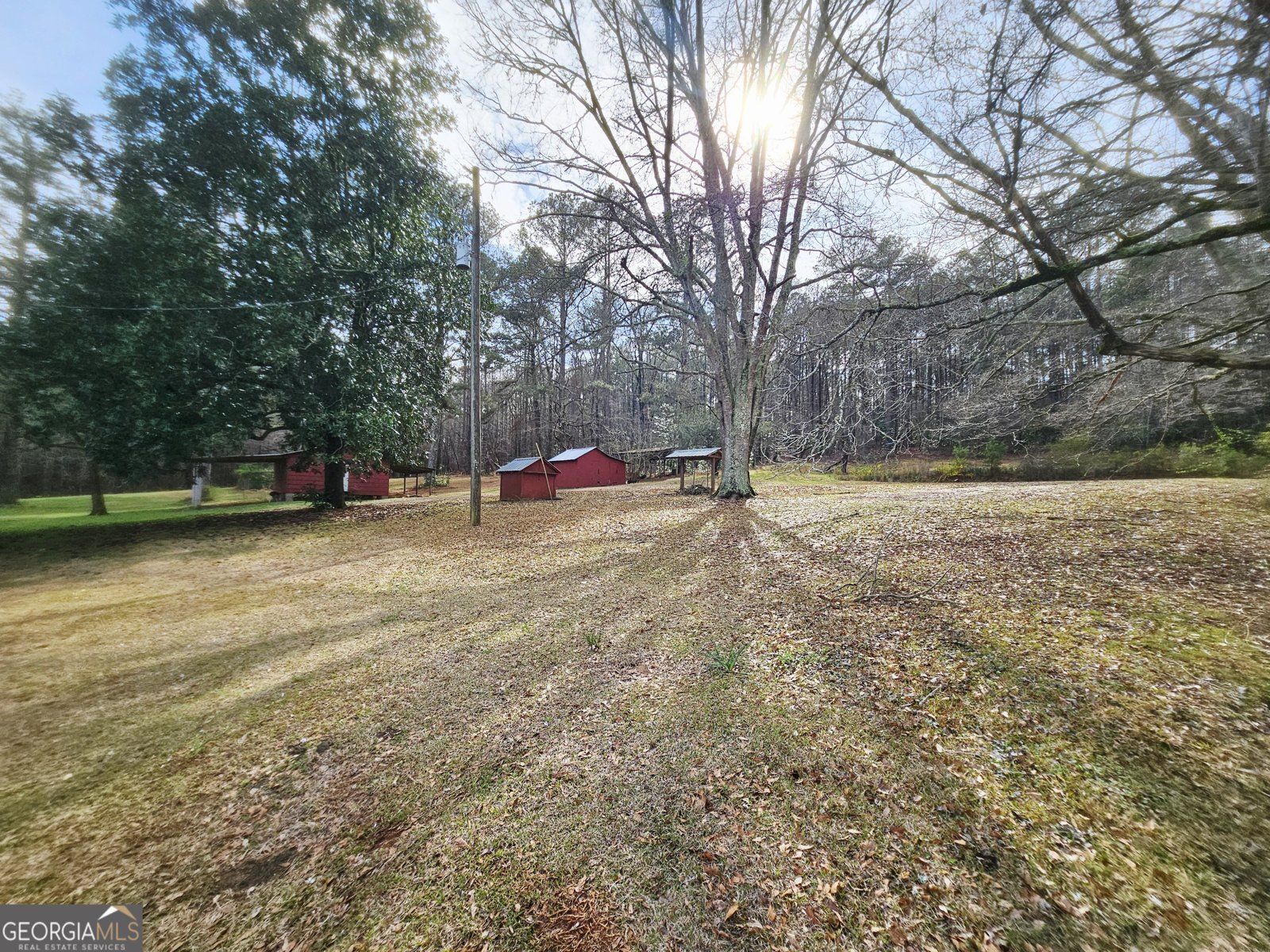 5655 GA Highway 100 Franklin - Photo 16