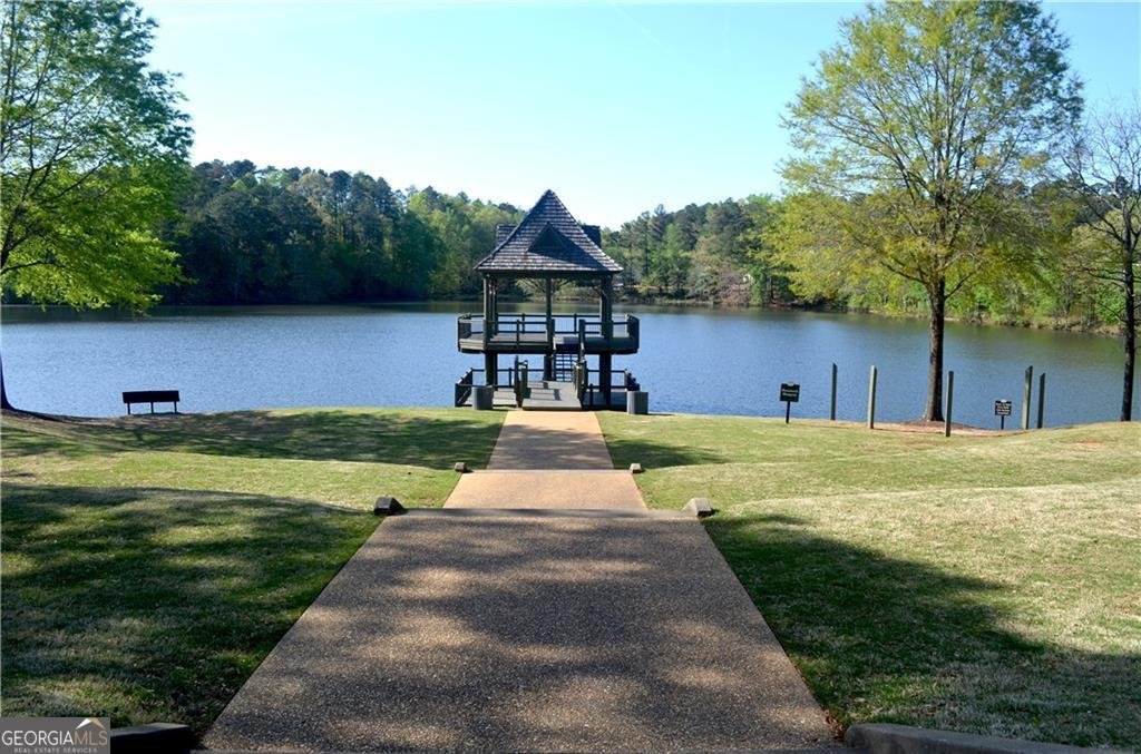 680 Lorimore Pass Canton - Photo 47