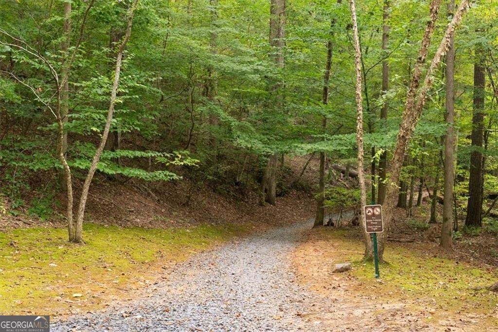 680 Lorimore Pass Canton - Photo 48