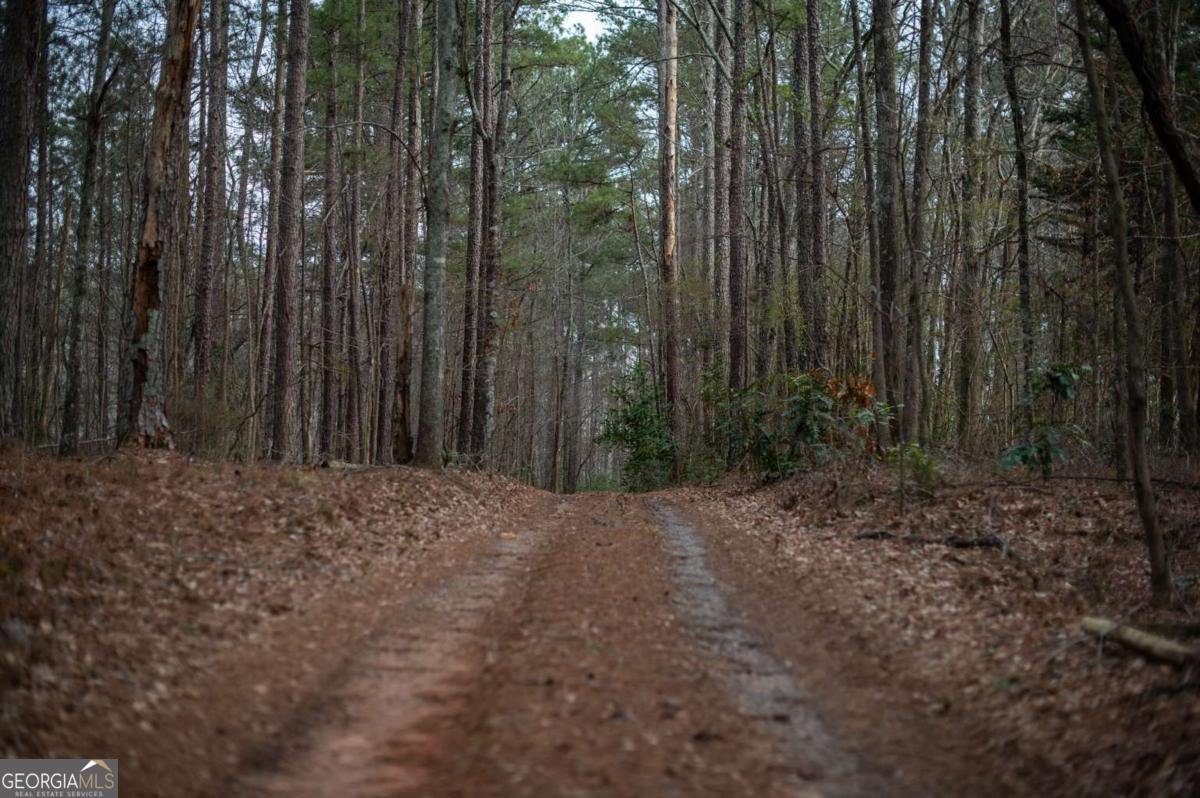 2020 Clotfelter Road Bogart - Photo 51