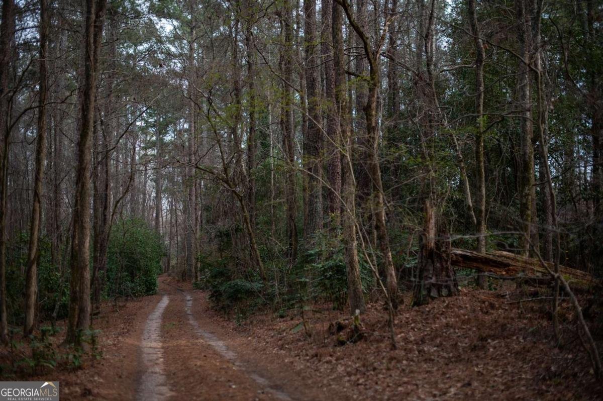 2020 Clotfelter Road Bogart - Photo 52