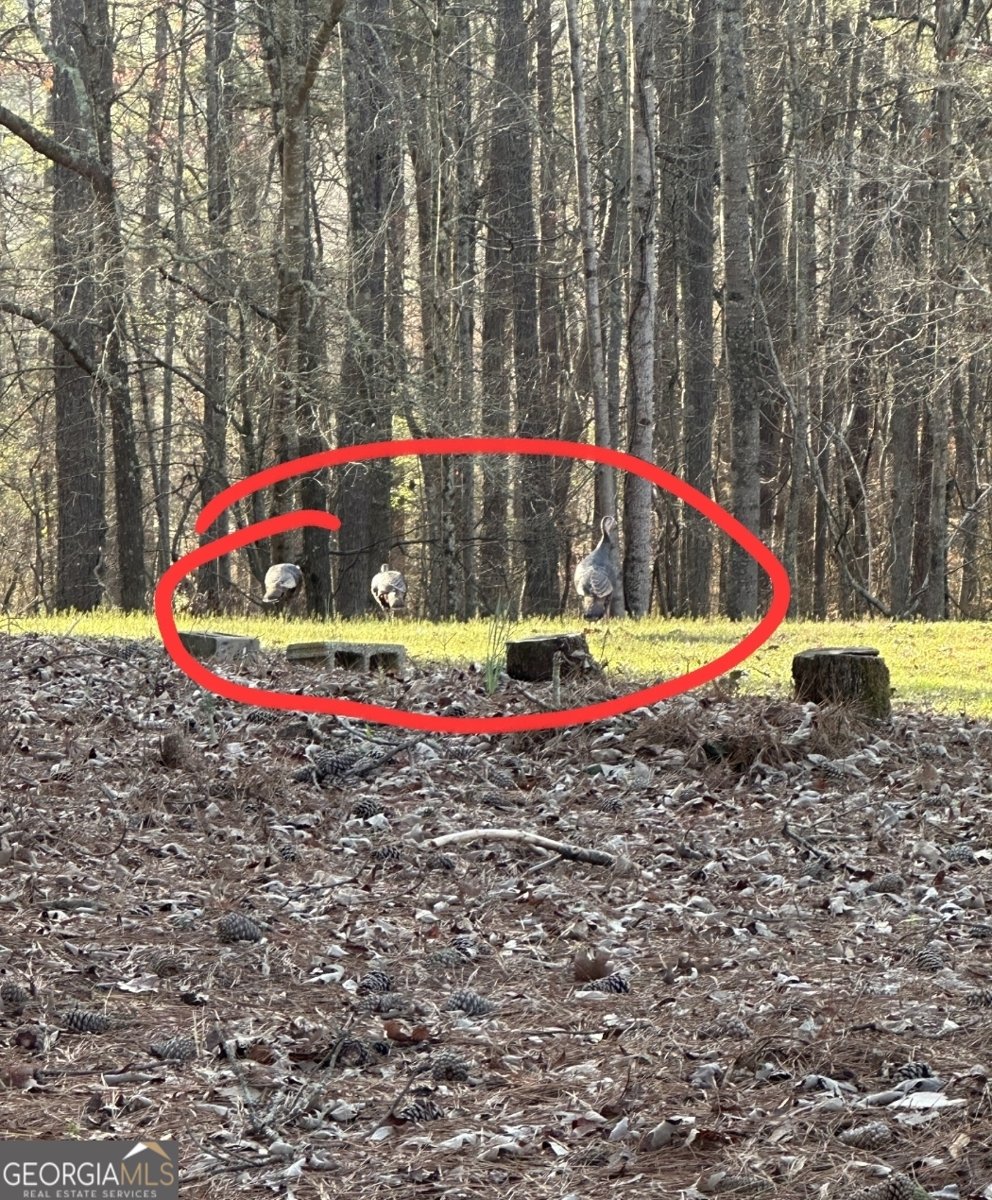 5291 Driskell Drive Winston - Photo 47