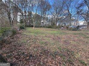 41 Osborne Road Marietta - Photo 19