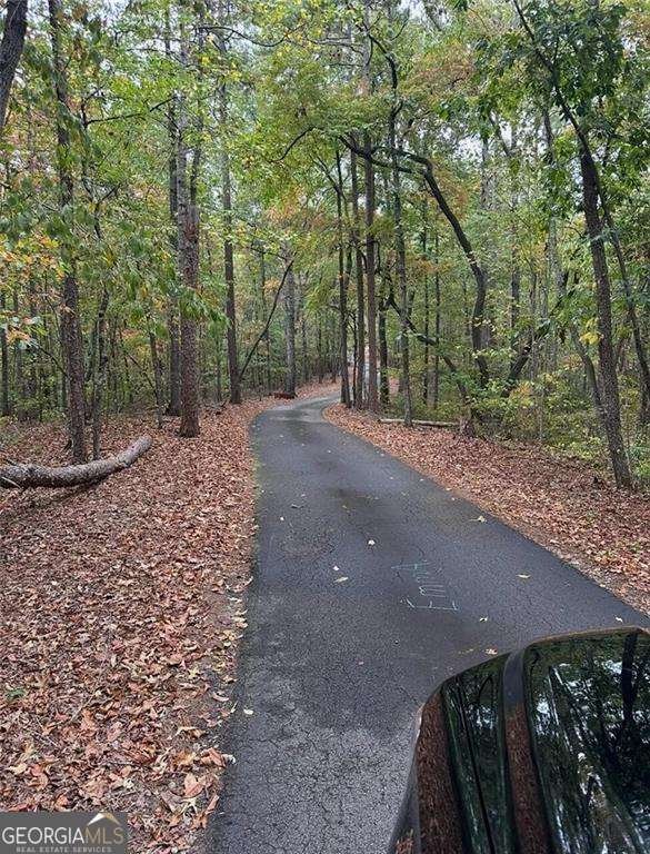 430 Valley Road Dawsonville - Photo 10