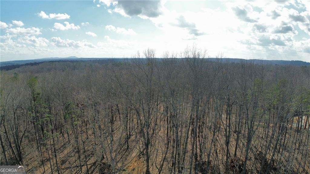 430 Valley Road Dawsonville - Photo 6