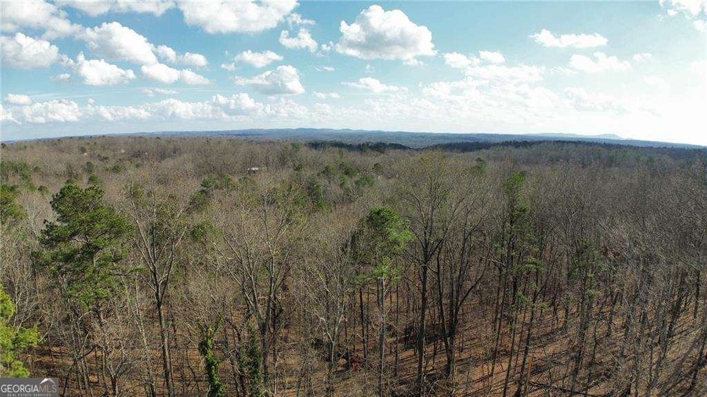 430 Valley Road Dawsonville - Photo 8