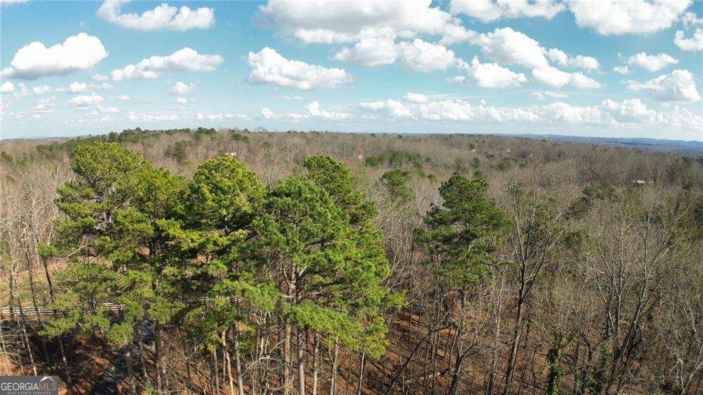 430 Valley Road Dawsonville - Photo 9