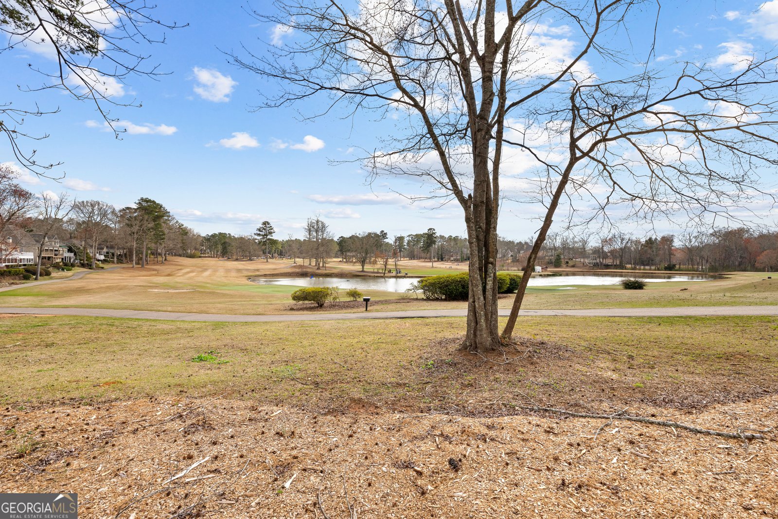 235 White Oak Drive Newnan - Photo 50
