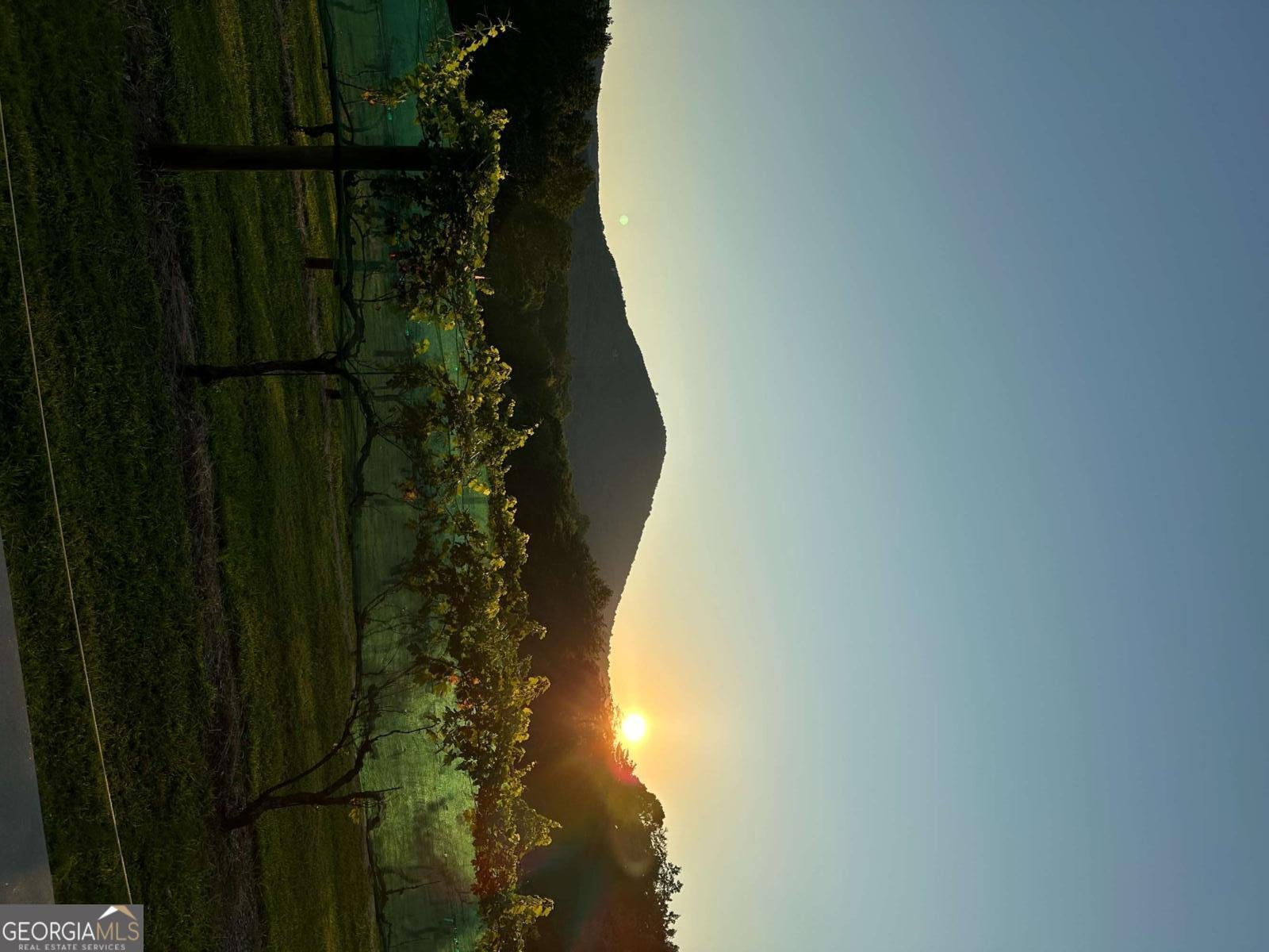 110 Rathgeb Trail Jasper - Photo 100