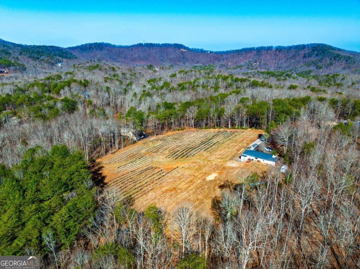 110 Rathgeb Trail Jasper - Photo 11