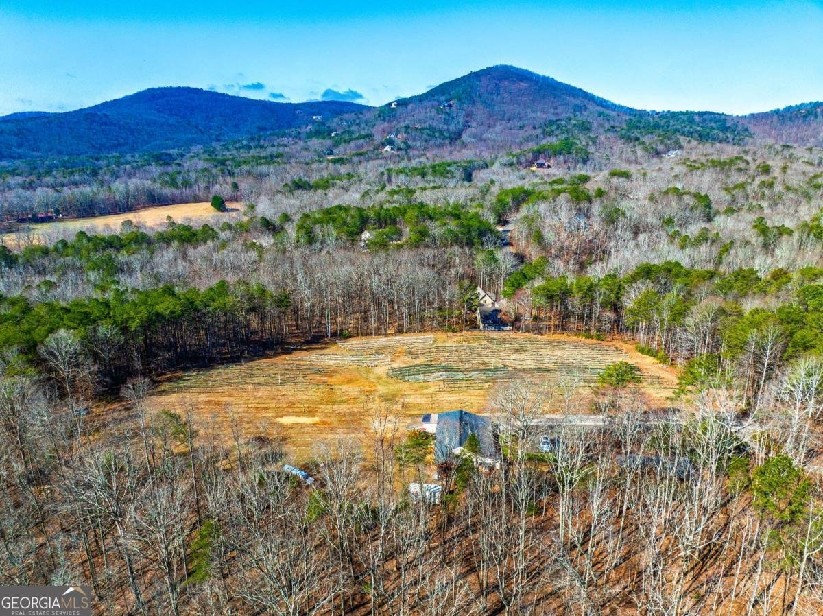 110 Rathgeb Trail Jasper - Photo 12