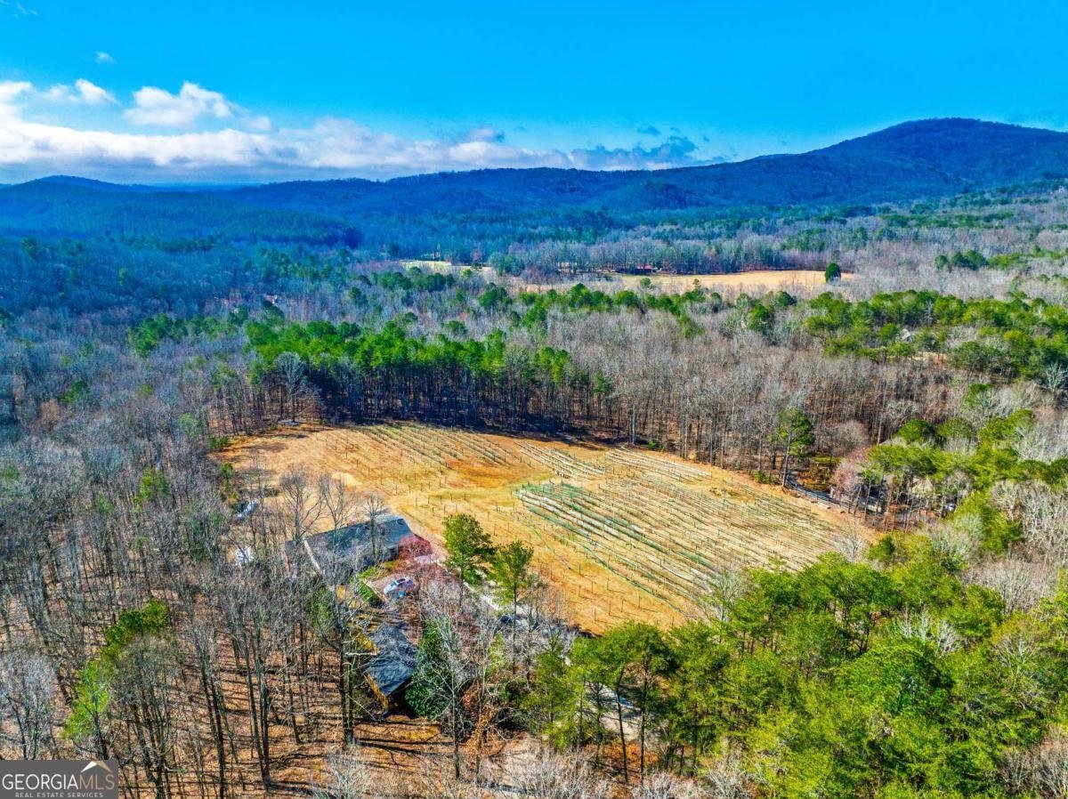 110 Rathgeb Trail Jasper - Photo 13