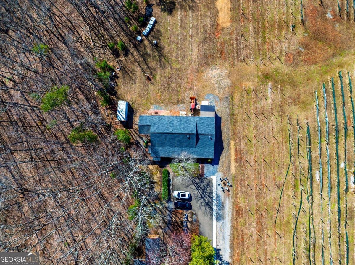 110 Rathgeb Trail Jasper - Photo 15