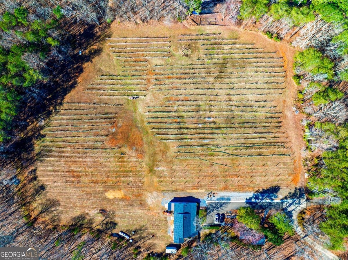 110 Rathgeb Trail Jasper - Photo 22