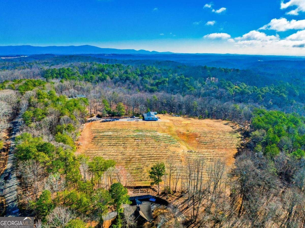 110 Rathgeb Trail Jasper - Photo 7