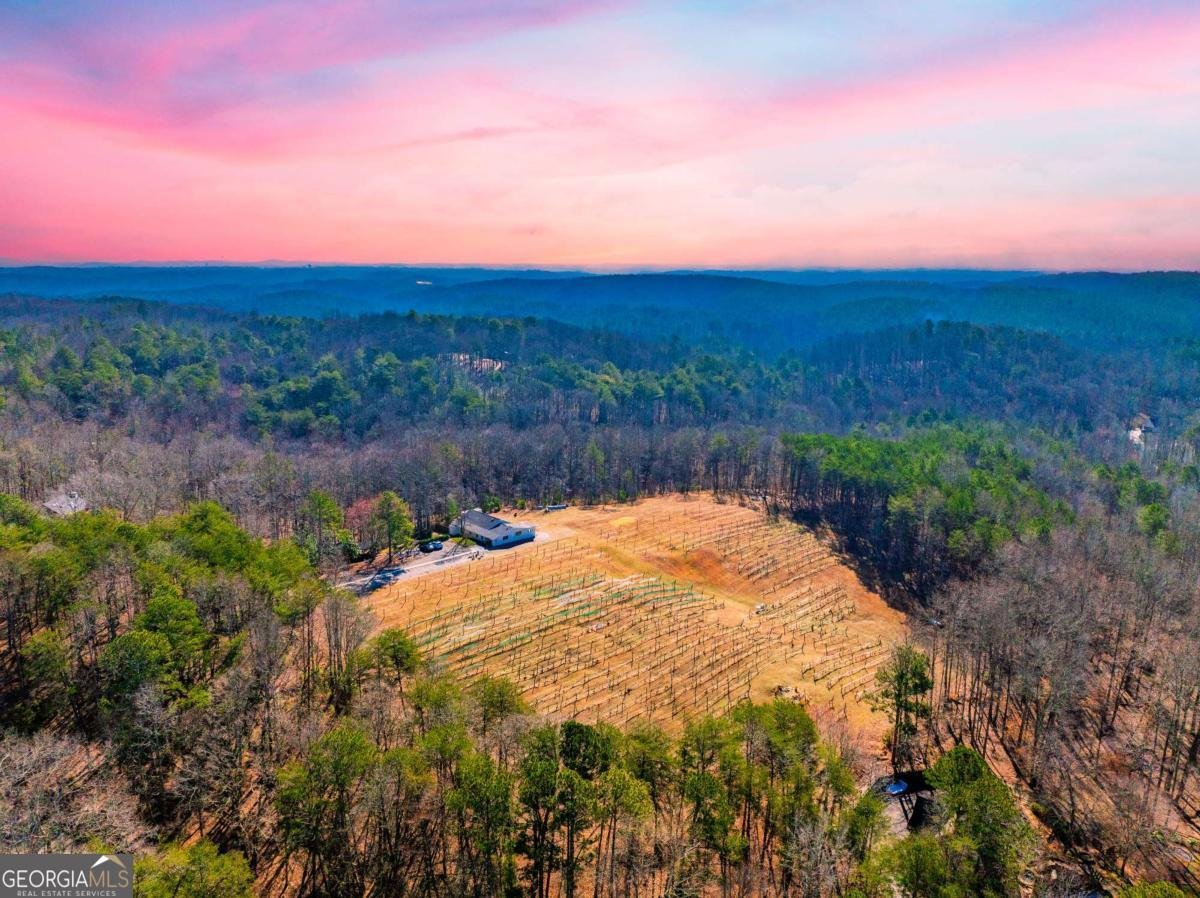 110 Rathgeb Trail Jasper - Photo 8