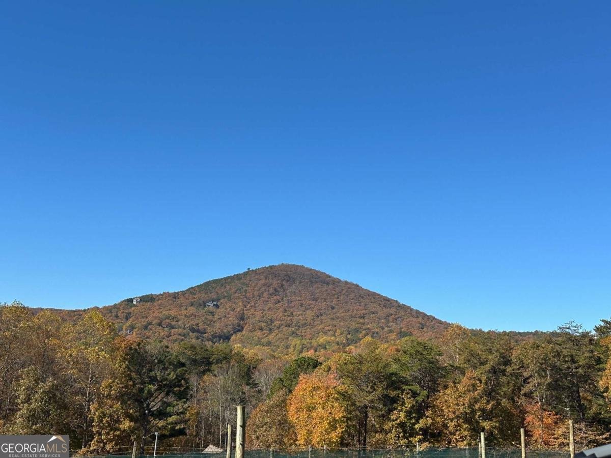 110 Rathgeb Trail Jasper - Photo 97