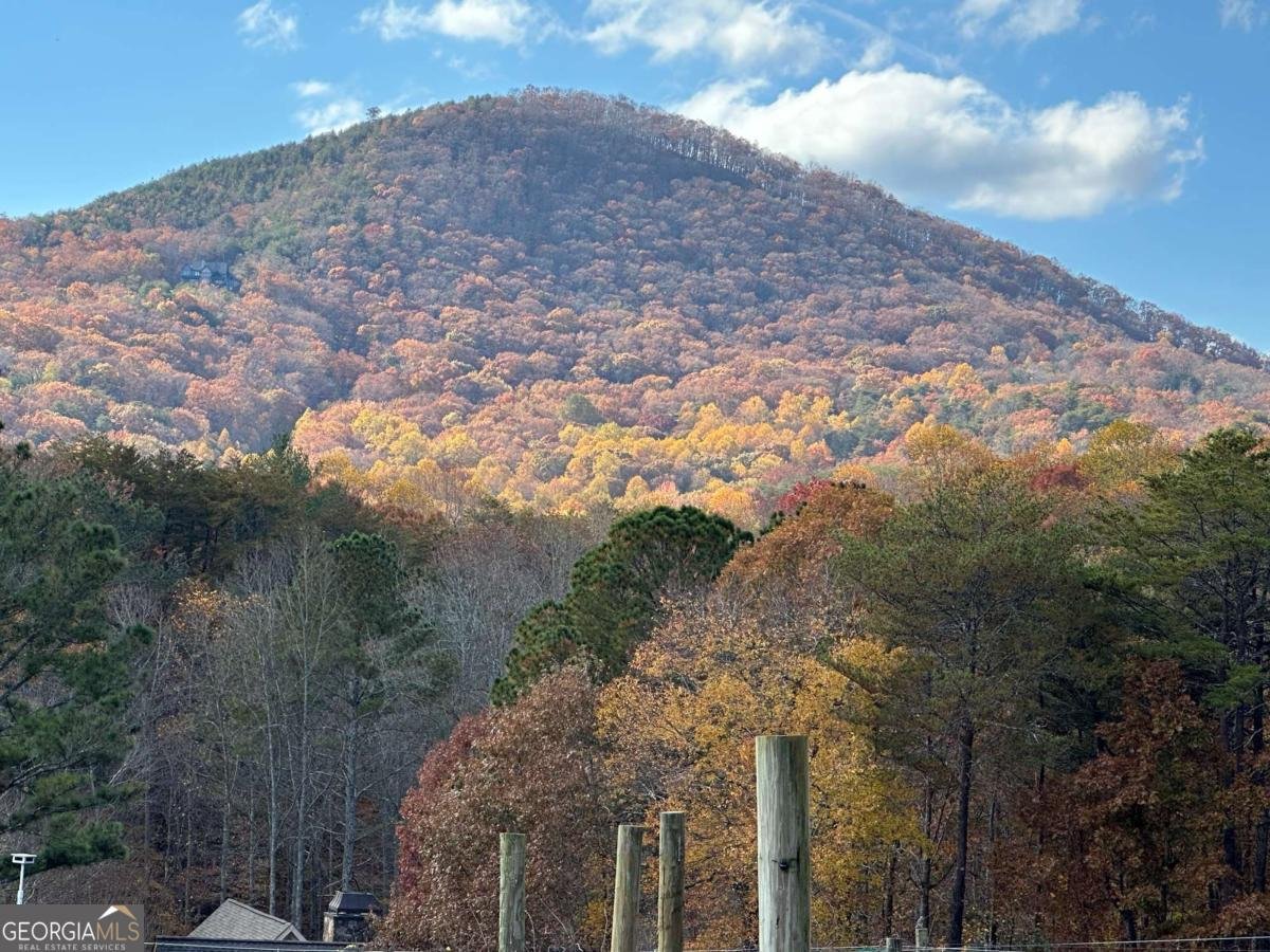 110 Rathgeb Trail Jasper - Photo 98